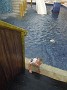 DSCN2251