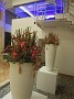 DSCN2341