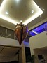 DSCN2342