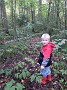 DSCF2061