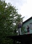 DSCF2075