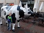 DSCF2109
