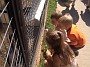 IMG-20140713-WA0012