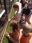 IMG-20140713-WA0017