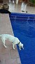 20140330_162128
