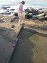 DSCN2410