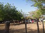 DSCN2438