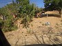 DSCN2449