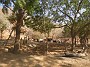 DSCN2456