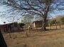 DSCN2461