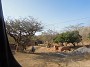 DSCN2462
