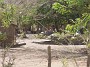 DSCN2484