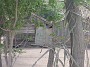 DSCN2485