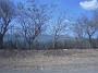 DSCN2487