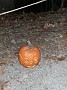 20141109_194157