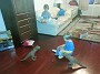 20141128_164155