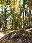 20140928_130939