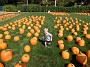DSCF2157