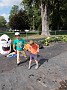 DSCF2161
