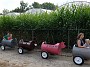 DSCF2206