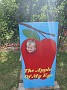 DSCF2228