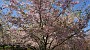 20150425_115817