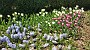 20150425_123417