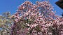 20150425_123739