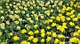 20150425_124147