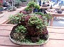 20150425_125802