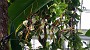 20150405_104730