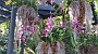 20150405_104954