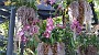 20150405_104956