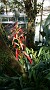 20150405_105420