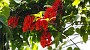 20150405_110110
