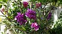 20150405_110140