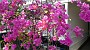 20150405_112412