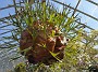 20150405_112607
