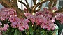 20150405_112718