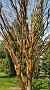 20150405_115505