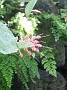 DSCF3571