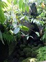 DSCF3572