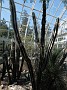 DSCF3578