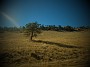 DSCF2820
