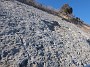 DSCF2872