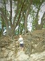 DSCF3372