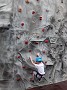 DSCF3419