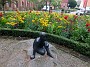 DSCF3862