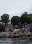 DSCF3984