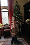 20151213_113139